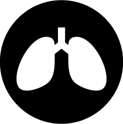 Lungs icon for smoking